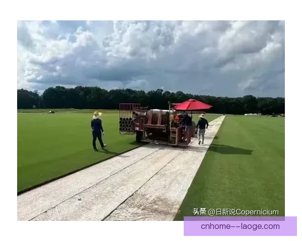 2026世界杯北美主办确认采用混合草坪系统引发球场科技升级关注 2026世界杯北美主办确认采用混合草坪系统引发球场科技升级关注